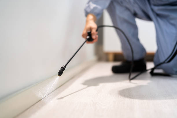 Licensed Termite Control service in Columbus AFB, MS - Nex Pest Control