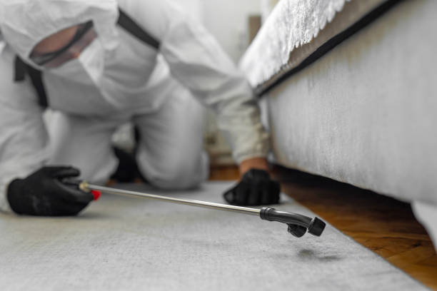 Professional Termite Control technician working in Columbus AFB, MS