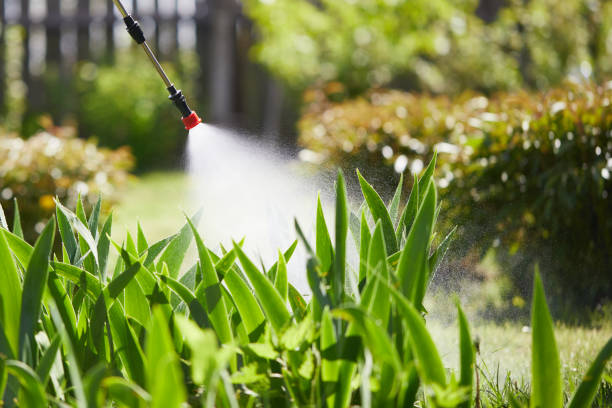 24/7 Emergency Termite Control experts in Columbus AFB, MS