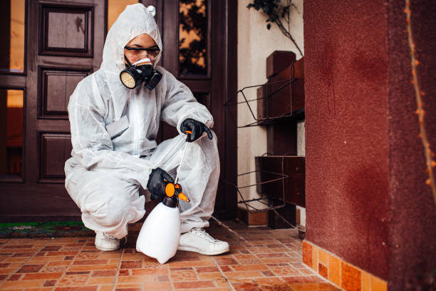 Reliable Termite Control contractor in Columbus AFB, MS by Nex Pest Control