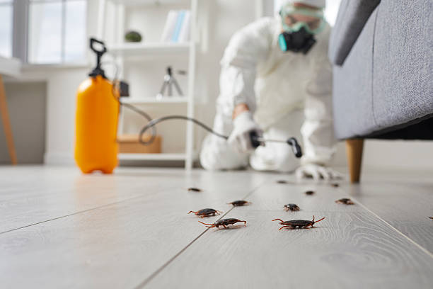 Affordable Termite Control solutions in Columbus AFB, MS