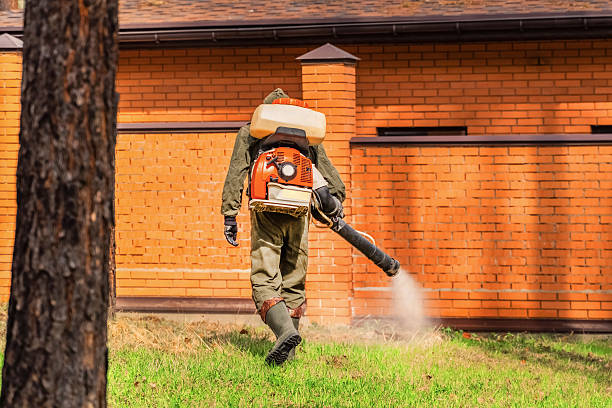 Top rated local Termite Control specialists in Columbus AFB, MS
